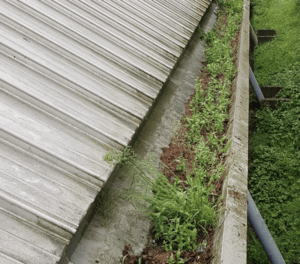 Happy customers in Bracknell who trust The Roof Moss Cleaners for gutter cleaning services